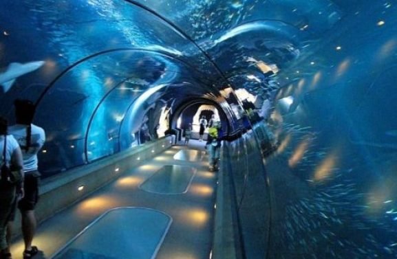 Wielki Akwarium w Hurghadzie