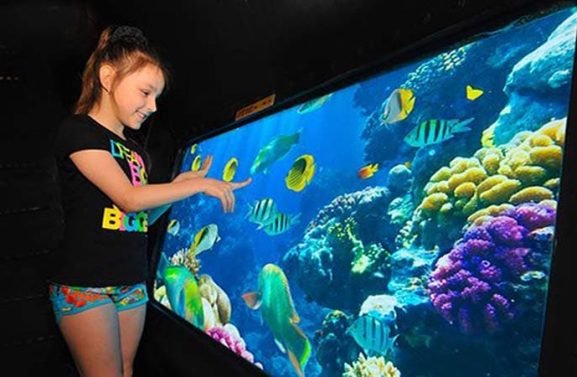 polskie wycieczki hurghada